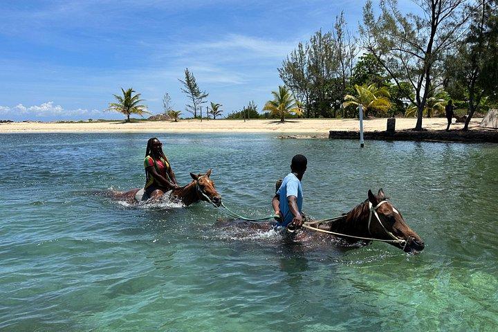 モンテゴ ベイのバンブー ラフティング & 乗馬と水泳のガイド付きツアー