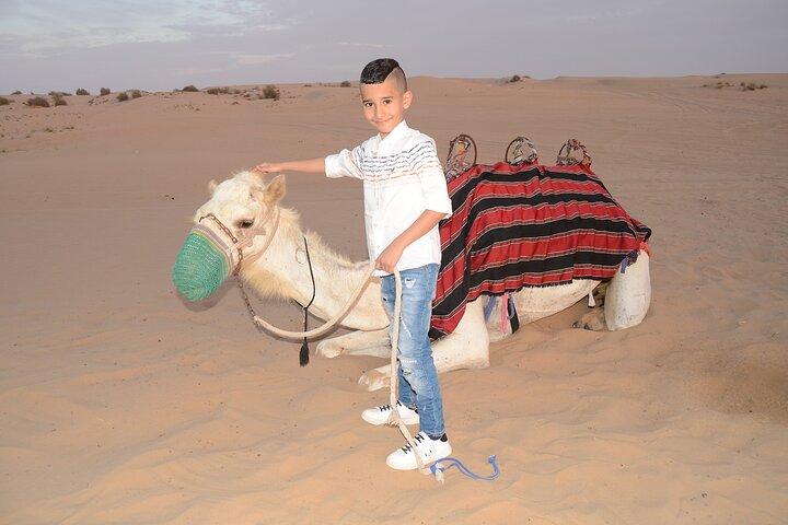 Kamelritt, Dune Bashing & Live-Shows mit BBQ-Dinner in Dubai