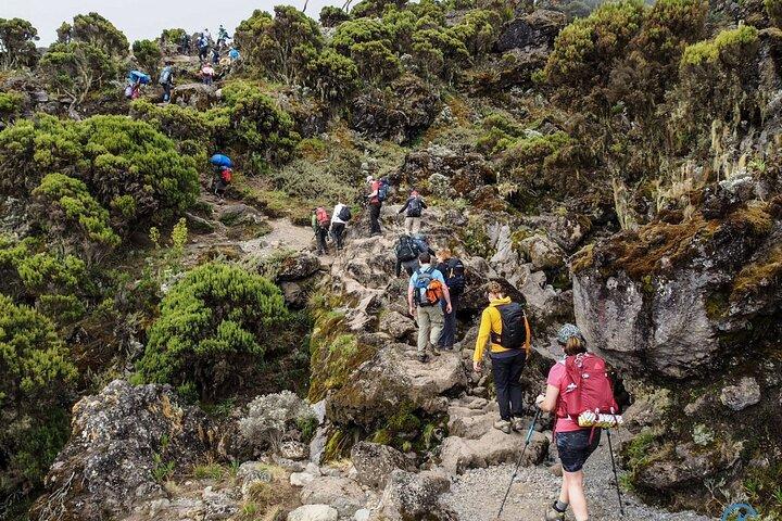 9 Day Mount Kilimanjaro Trek