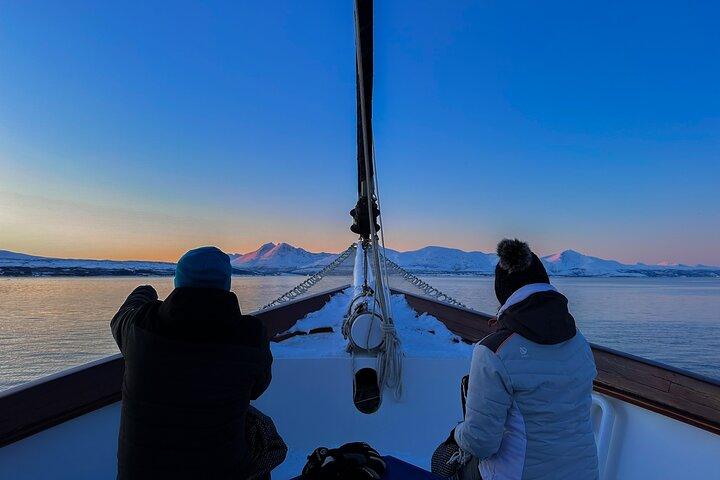 Tromsö Lyxsegelbåt Polarfjordkryssning med lunch