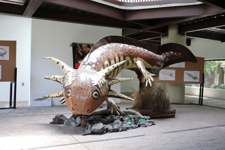 Xochimilco The island dolls and Axolotl museum from Mexico City