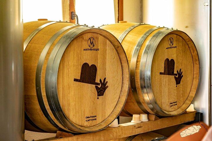 Privat besøg i den baskiske vingård: Txakoli vinsmagning fra Bilbao