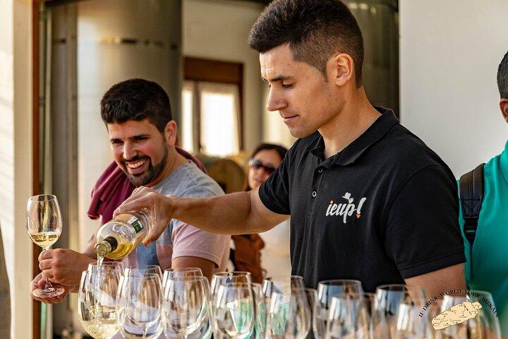 Privat besøg i den baskiske vingård: Txakoli vinsmagning fra Bilbao