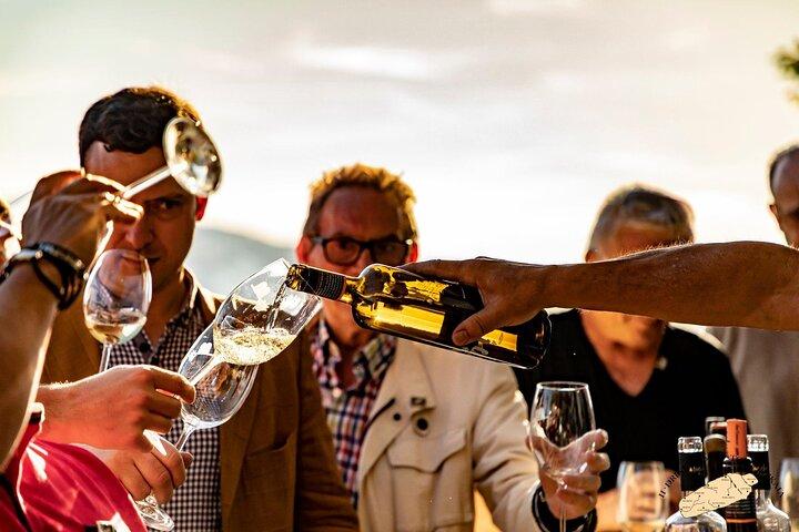 Privat besøg i den baskiske vingård: Txakoli vinsmagning fra Bilbao