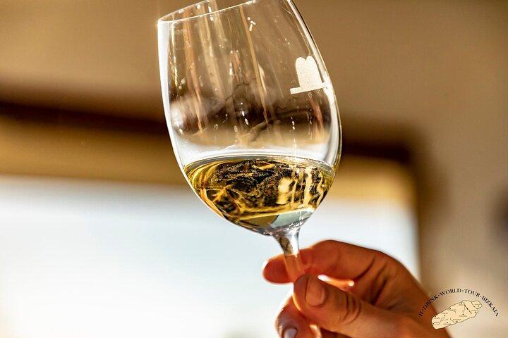 Privat besøg i den baskiske vingård: Txakoli vinsmagning fra Bilbao