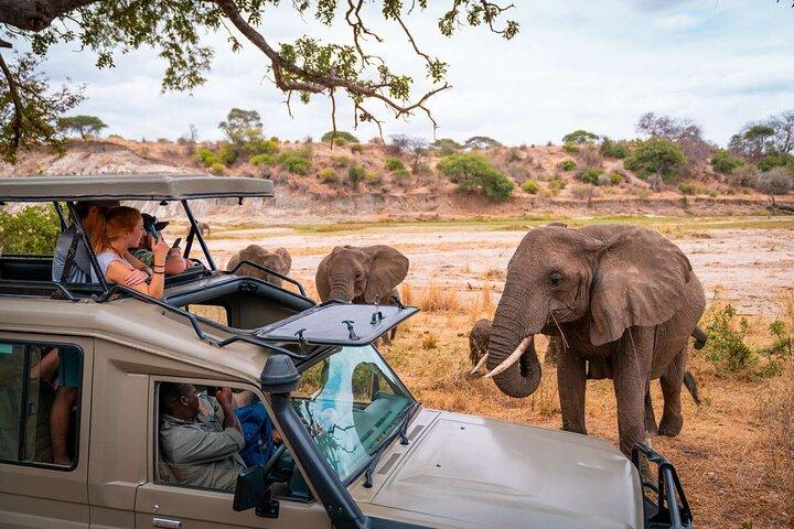 Safari di 4 giorni a Ol Pejeta Aberdare e Solio Ranch in Jeep 4x4