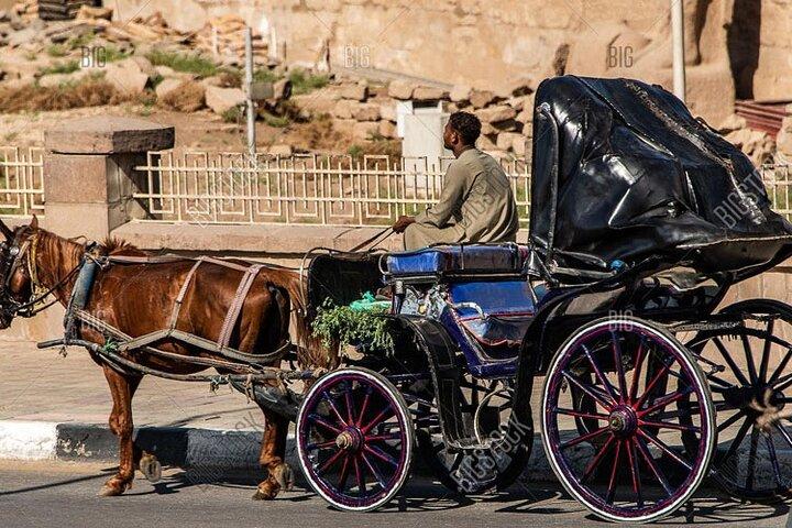 Luxor City Horse Carriage Tour: Dine and Discover