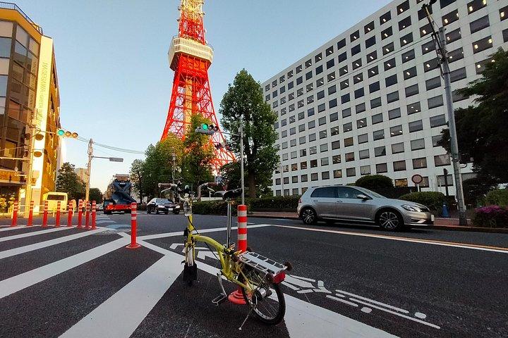東京のプライベート半日グランド バイク ツアー