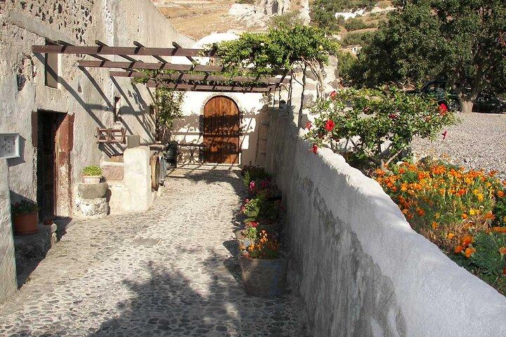 Vingårdsberättelser och vinprovning på Santorini