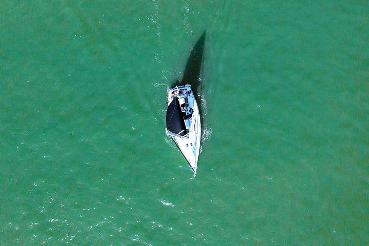 Private sailboat tour in Lisbon