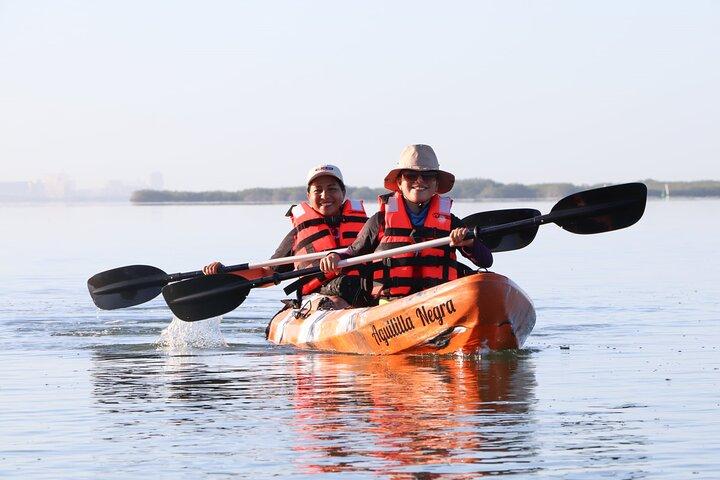 Mangroves Kayaking Tour from Cancun