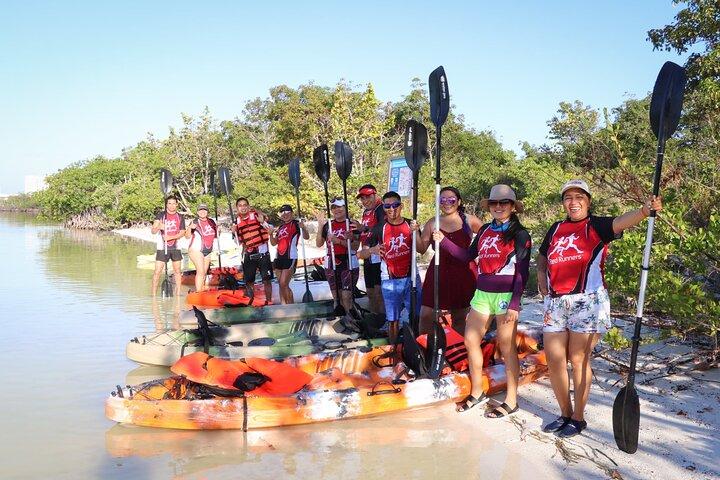 Mangroves Kayaking Tour from Cancun