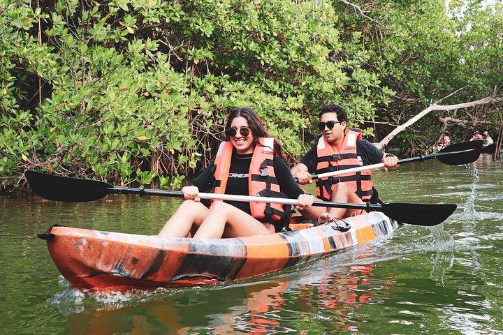 Mangroves Kayaking Tour from Cancun