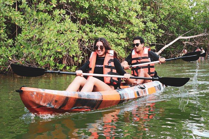 Lagoon Mangrove Tour, Kayaking and Sightseeing from Cancun