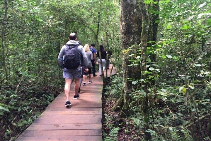 Argentijnse & Braziliaanse watervallen Privétour van een hele dag met tickets
