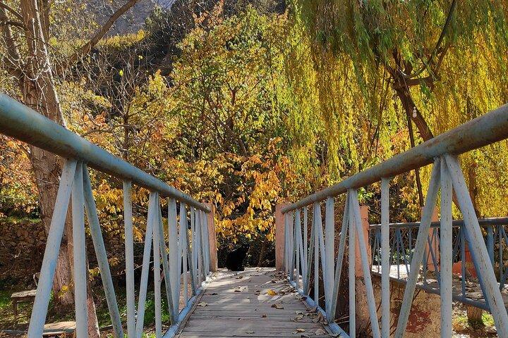 Full Day Excursion Tour to Ourika Valley