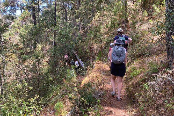 Hike in the Sierra Norte, Cuajimoloyas