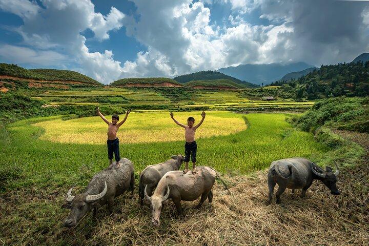 Tour di gruppo di Ninh Binh di 11 da Hanoi via Mua Cave Tam Coc Hoa Lu