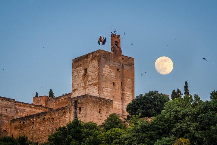 Visita privada a las entradas de la Alhambra incluida