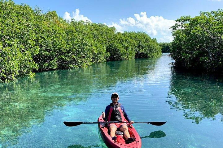 Tour en Kayak de Paddleboard en Cancún
