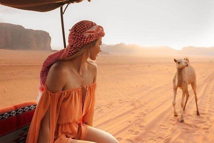 2 - Tour di un giorno di Petra e Wadi Rum