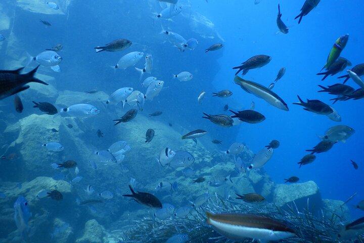 Descubre el buceo en Santorini