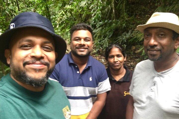 Sinharaja Rain Forest begeleide dagtour