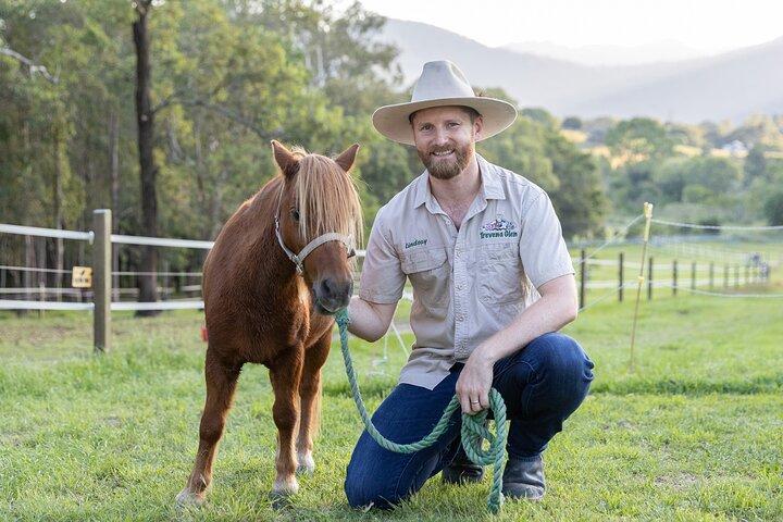 Trevena Glen Farm Animal Experience
