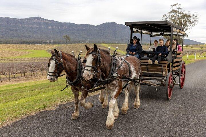 Vin de 3 heures et récolte du Hunter Horse Tour à Pokolbin