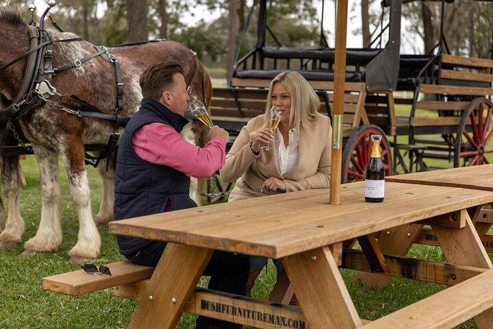 Vin de 3 heures et récolte du Hunter Horse Tour à Pokolbin