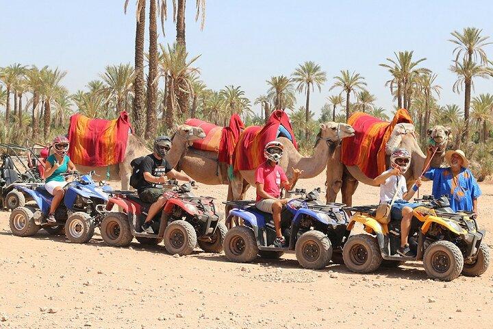 Quad and camel ride in the desert of the Palmeraie Marrakech