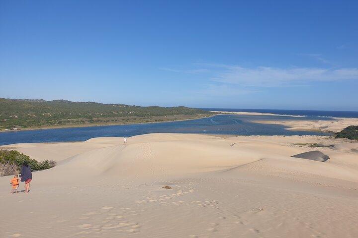 4 Day Addo to Karoo Safari