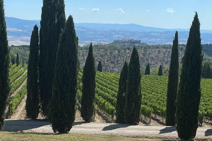 Descubra os vinhos Brunello