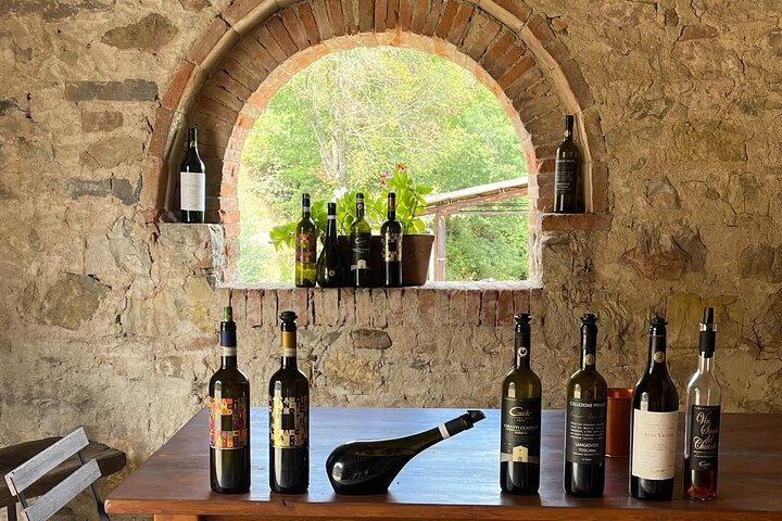 Vinhos do Chianti Classico