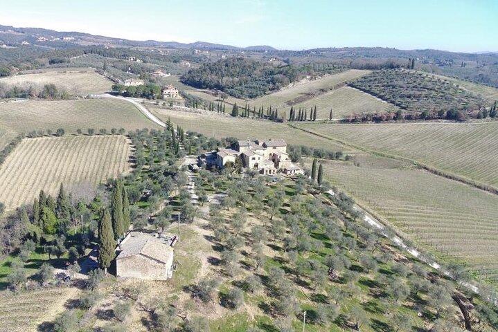 Discover Chianti Classico Wines
