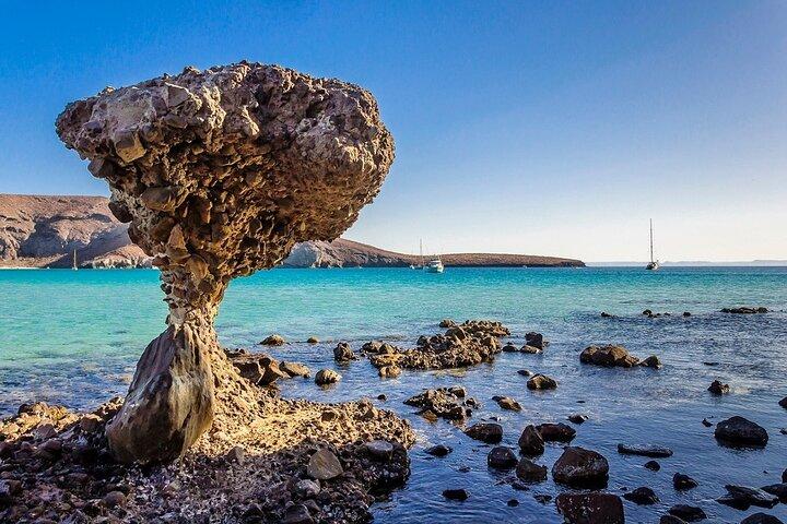 La Paz, Balandra e Todos Santos di CABO e San Jose