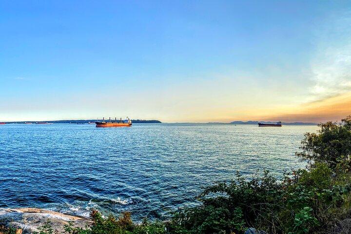 Vancouver til Tofino 2-dages tur privat