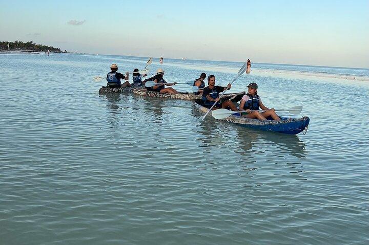 Kajaktur i Holbox mangroveskove