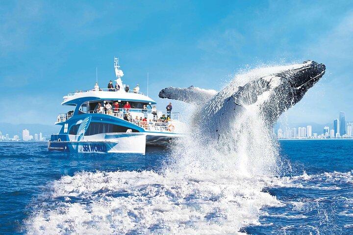 Avistamiento de ballenas por Sea World Cruises
