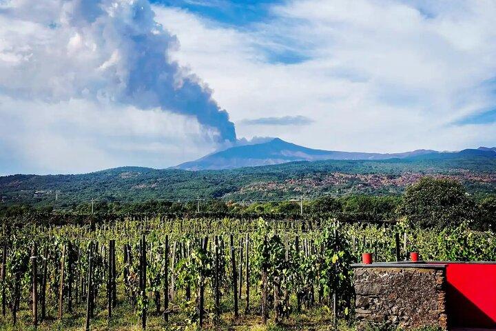Escursione Etna e degustazione di vini con pranzo siciliano