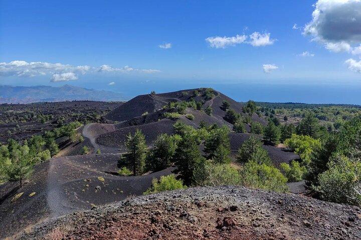 Escursione Etna e degustazione di vini con pranzo siciliano