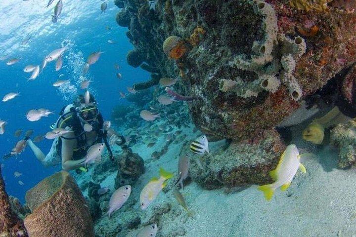本物のキュラソー島：全島プライベートツアー