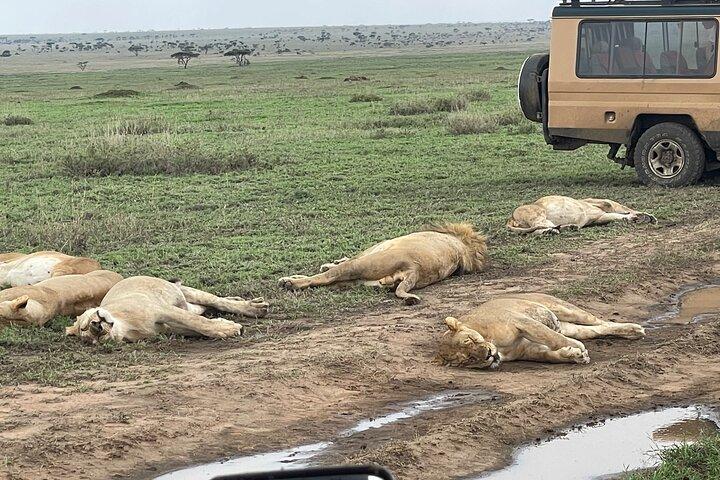 Encienda los grifos de agua del pueblo con la experiencia exclusiva de Safari de lujo