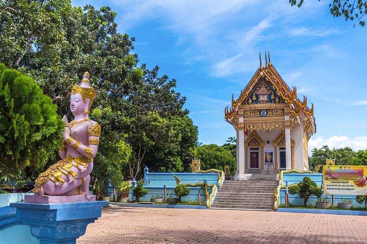 Privat rundtur i Koh Samui vattenfall och mumifierade munktemplet