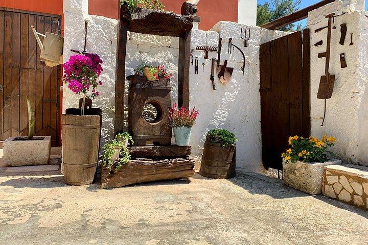 Typical Apulian Cooking Class & Dinner based on fish
