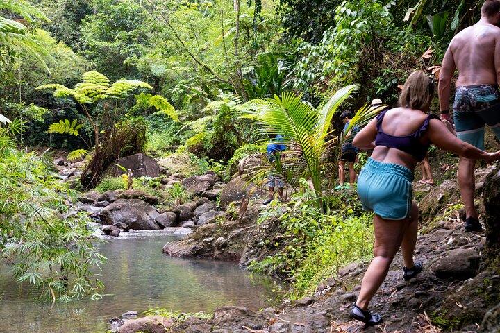 Regenwaldwanderung und Wasserfall Safari