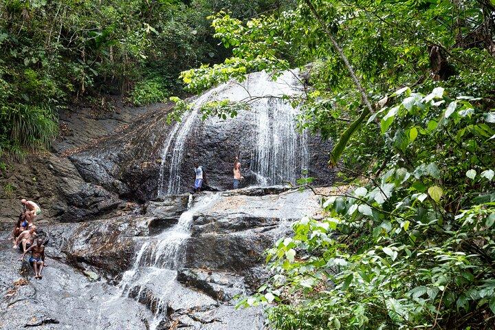 Regenwaldwanderung und Wasserfall Safari