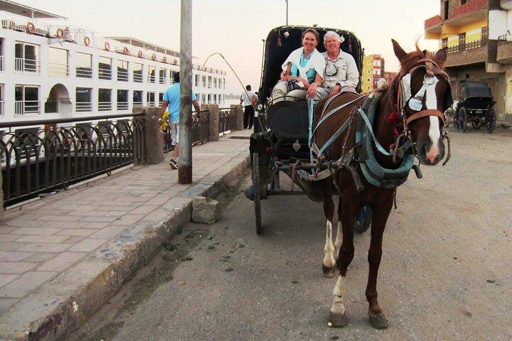 Luxor City Horse Carriage Tour: Dine and Discover