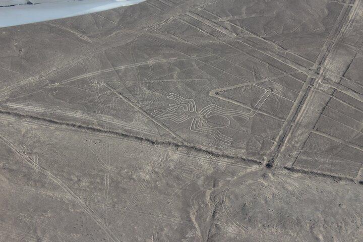 Sobrevuelo Lineas de Nasca ¡Impresionante vista aérea!