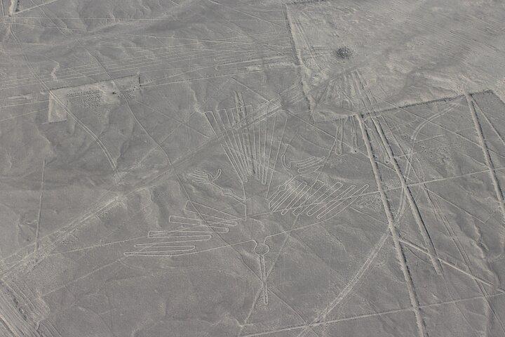 Sobrevuelo Lineas de Nasca ¡Impresionante vista aérea!